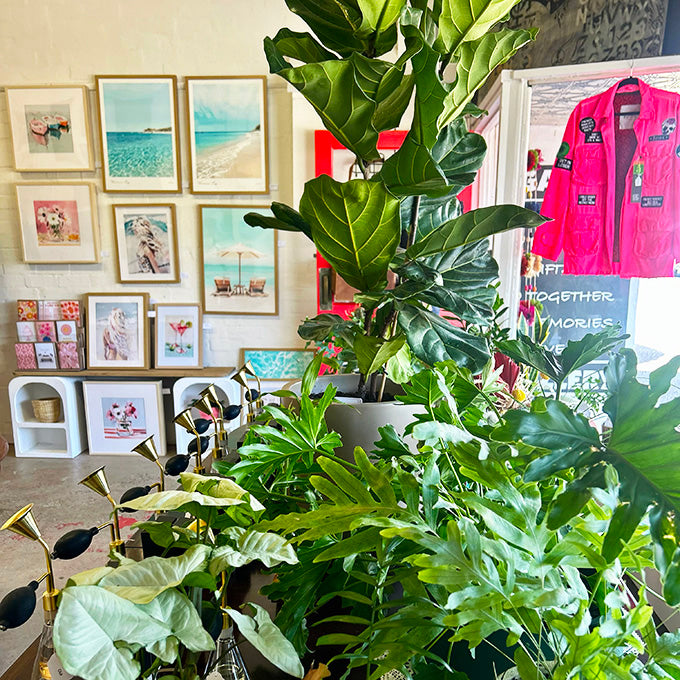 our stockists